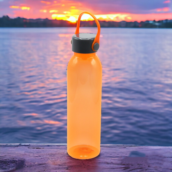 Пластиковая бутылка Chikka 650 мл / Удобная и вместительная